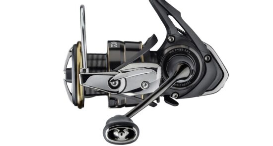 Daiwa Naviják 20 Ballistic EX LT 4000 D-C