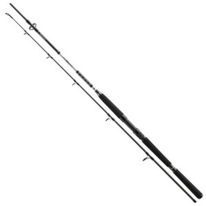 Daiwa Prut  BG Offshore Pilk 2