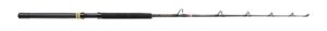 Penn Prut Squall® II Trolling Casting Rod1