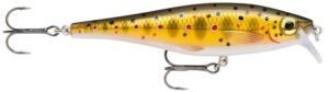 Rapala Wobler BX Minnow 10 cm Barva: BX Minnow 10 TR