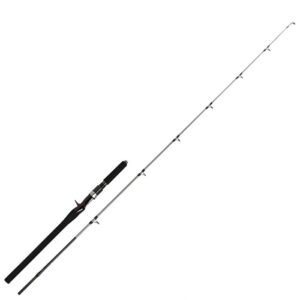 Shimano Prut Speedmaster R Jigging Cast 1